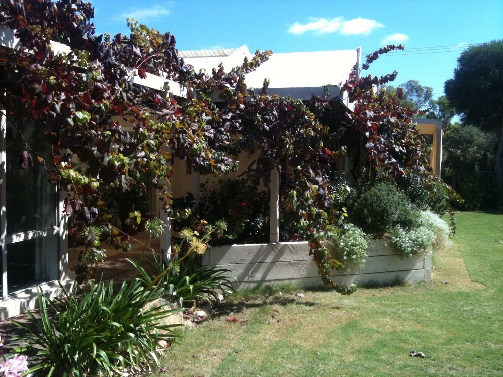 Bellevue Bed & Breakfast Mclaren Vale Exterior photo